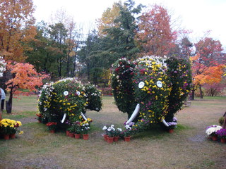 弘前城紅菊と葉まつり.JPG