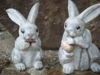 DSC01293.JPG