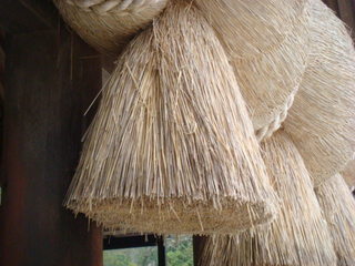 DSC01312.JPG