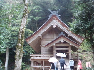DSC01339.JPG