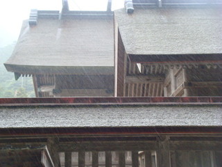 DSC01355.JPG